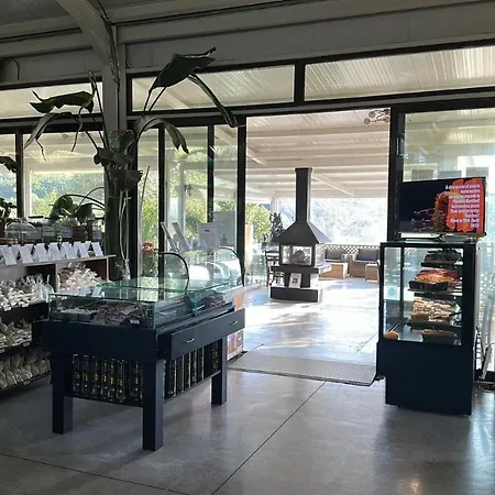 Hotel - Maravel Botanical Garden