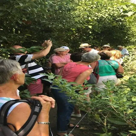 - Maravel Botanical Garden Spílion