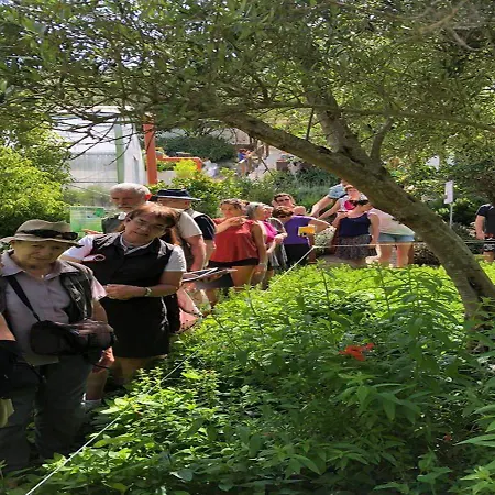 - Maravel Botanical Garden Hotel